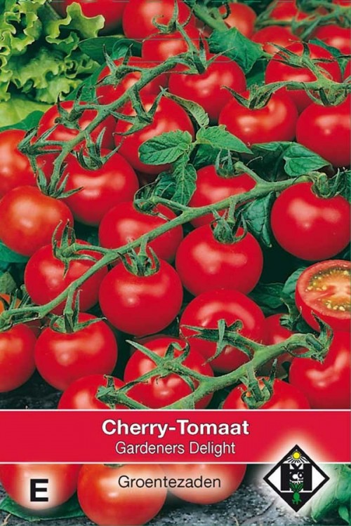 Gardeners Delight Cherry Tomato Seeds