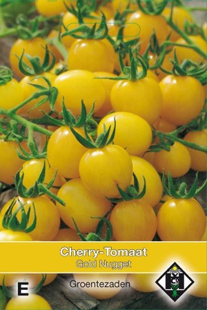 Gold Nugget yellow cherry tomato