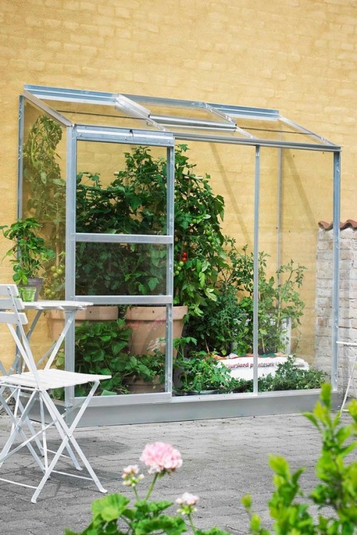Wall Garden 62 greenhouse + FREE 10 EUR seed package
