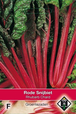 Rhubarb Chard rode snijbiet zaden