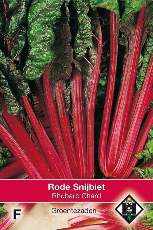 Rhubarb Chard - Rode Snijbiet