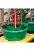 Plant Halo self watering protection