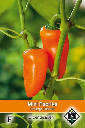 Sweet Pepper Mini Paprika - Oranje Hamik
