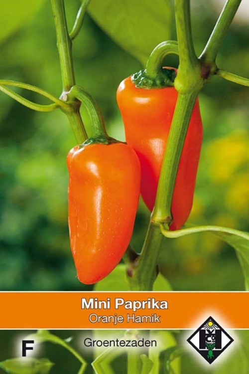 Oranje Hamik - Minipaprika