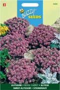Royal Carpet - Sweet Alyssum seeds