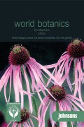 Echinacea Pallida - Zonnehoed