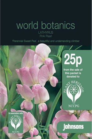 Sweet Peas (Lathyrus) Pink Pearl