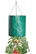 Hanging Tomato Bag