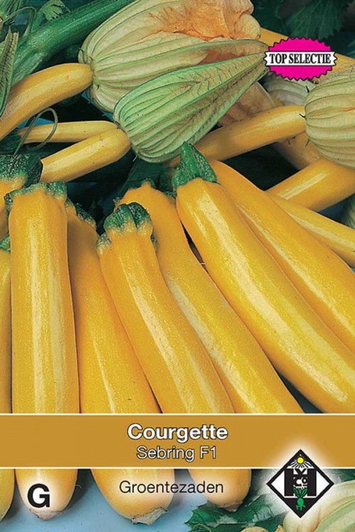 Sebring Yellowstar F1 - Courgette