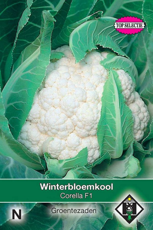 Corella F1 - Winter Cauliflower