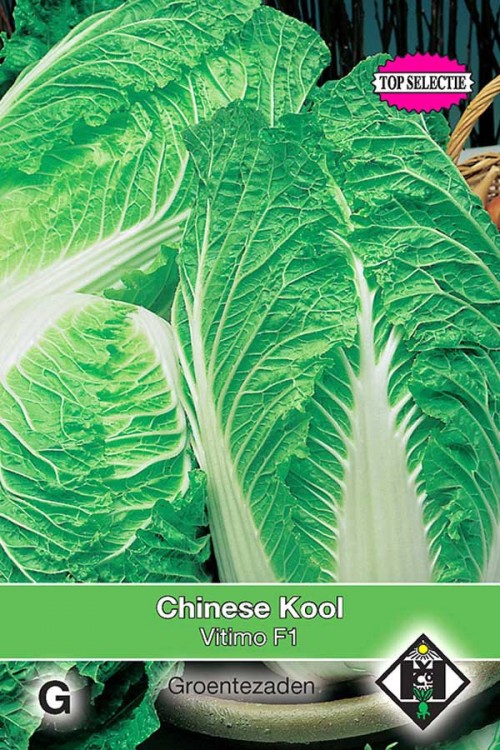 Yuki F1 chinese cabbage seeds