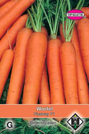 Carrots Wortel Flyaway / Resistafly F1