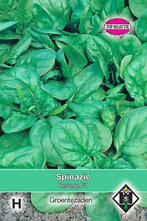 Revere F1 spinach seeds
