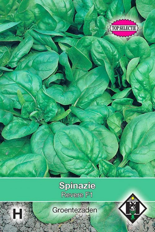 Revere F1 - Spinach