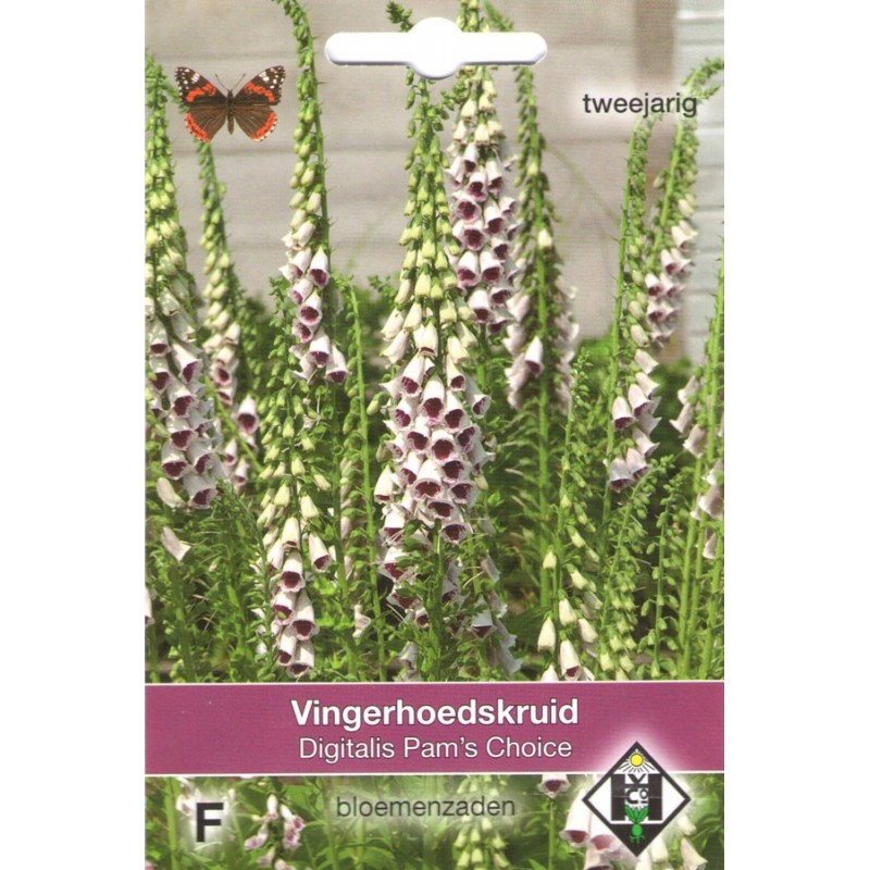 Dalmation Peach F1 Vingerhoedskruid zaden Digitalis kopen? Tuinzaden.eu