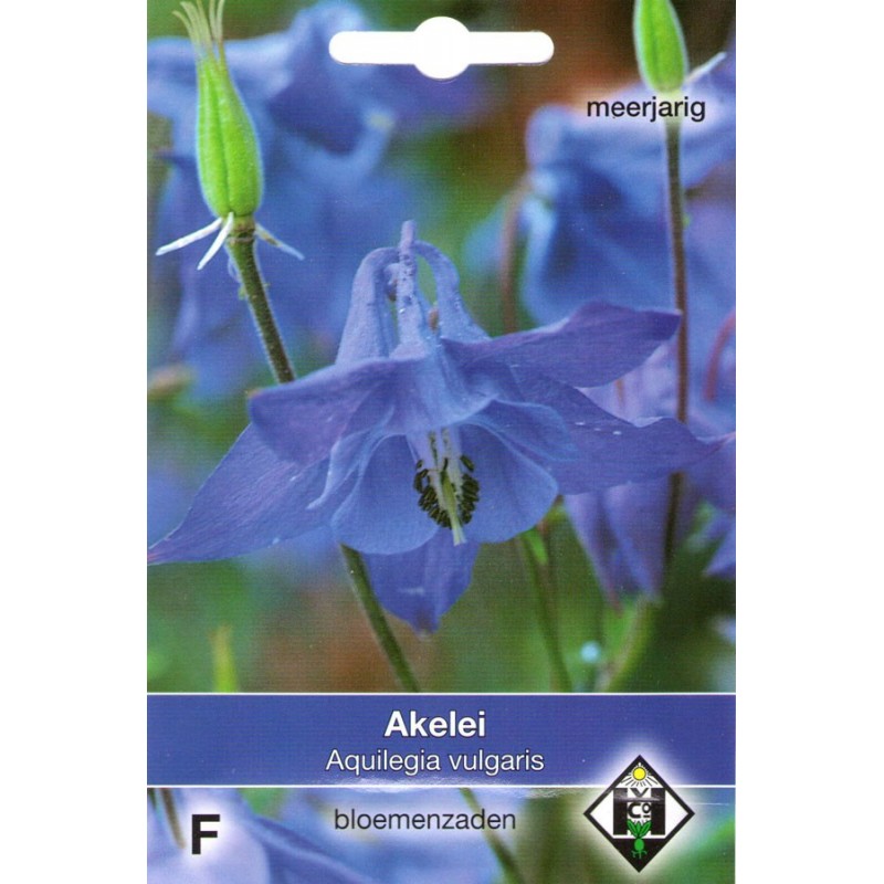 Aquilegia vulgaris subsp. vulgaris (1 de 2) - 33089
