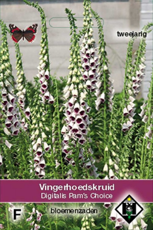 Pams Choice Digitalis Vingerhoedskruid zaden kopen? Tuinzaden.eu