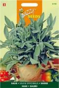 Sage seeds