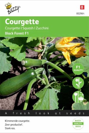 Courgette - Zucchini Black Forest F1