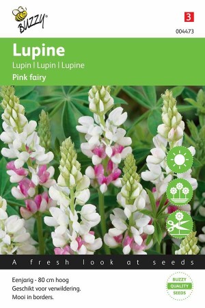 Lupine (Lupinus) Pink Fairy