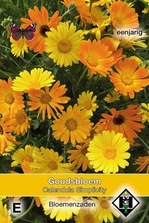 Marigold (Calendula) Simplicity - Calendula officinalis 