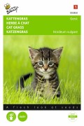Cat grass barley seeds
