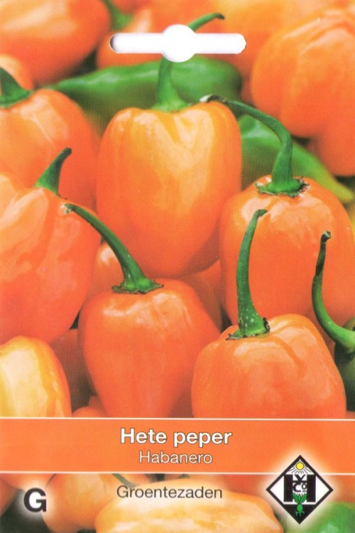 Oranje Habanero - Peper