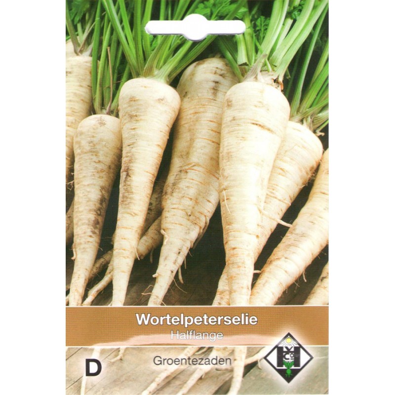 Parsley Root seeds Vegetable seeds • Tuinzaden.eu