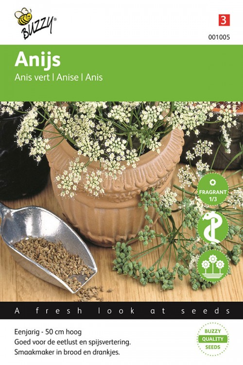 Anijsplant - Anijs zaden