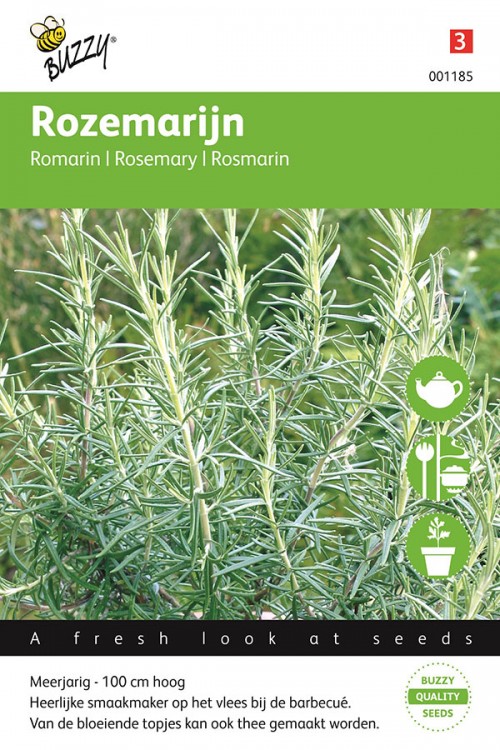 Rosemary seeds