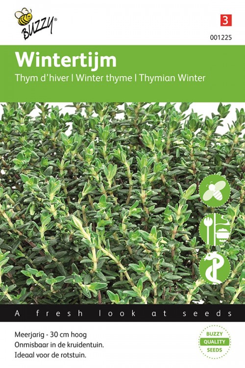 Winter Thyme seeds