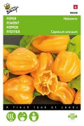 Yellow Orange Habanero Pepper