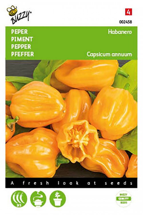 Yellow Habanero Pepper Seeds • Tuinzaden.eu