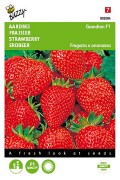 Grandian F1 Strawberry seeds