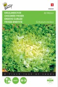 The Meaux Curled Endive seeds