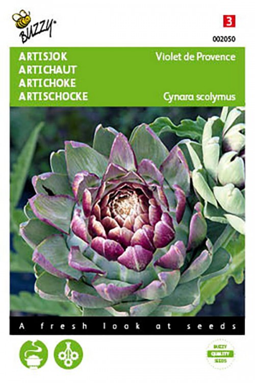 Violet de Provence Artichoke seeds