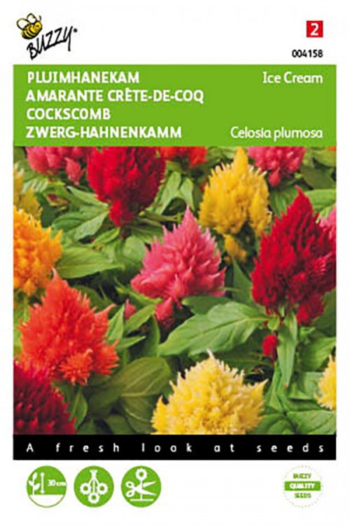 Ice Cream Cockscomb Celosia seeds