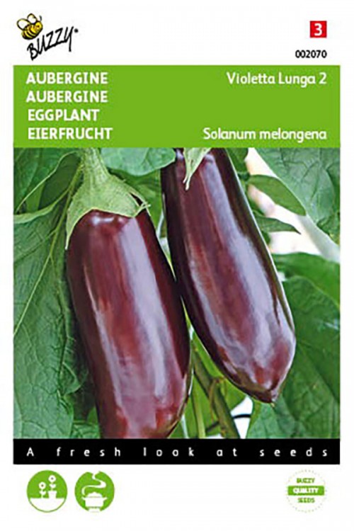 Early Long Purple - Eggplant