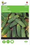 Hokus Gherkin seeds