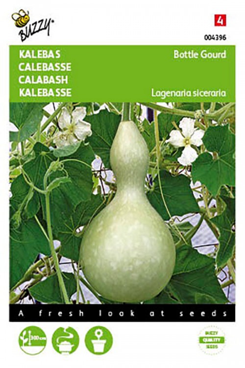 Bottle Gourd squash seeds Pumpkin Squash Seeds • Tuinzaden.eu