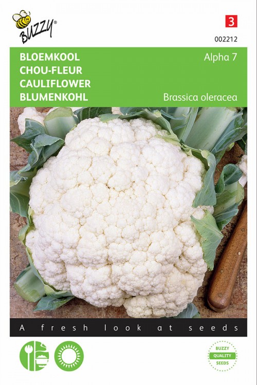 Alpha 7 cauliflower seeds