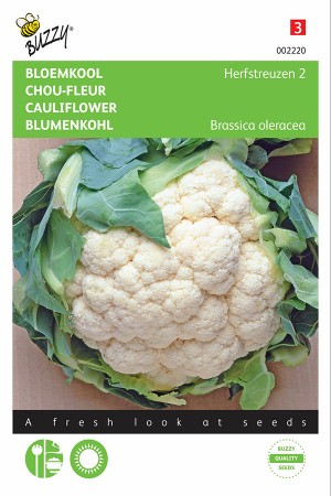 Autumn Giant Cauliflower seeds