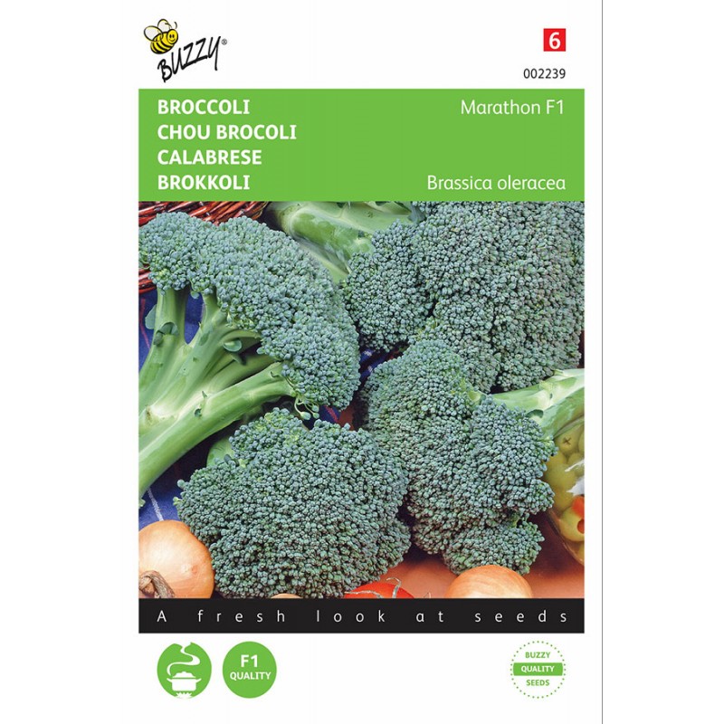 Marathon F1 hybride broccoli zaden Broccoli Zaden kopen? Tuinzaden.eu