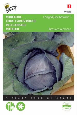 Langedijker 2 red cabbage...