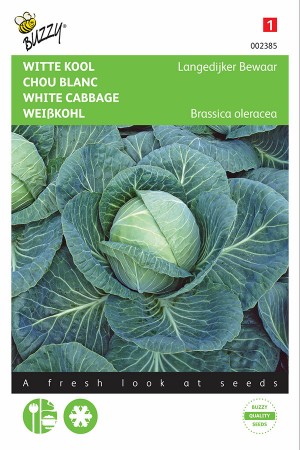 Organique Légume-Chou-LANGEDIJKER BEWAAR 2-100 graines