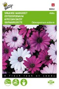 Akila Cape Daisy Osteospermum seeds
