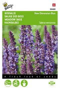 New Dimension Blue Meadow Sage Salvia nemorosa seeds