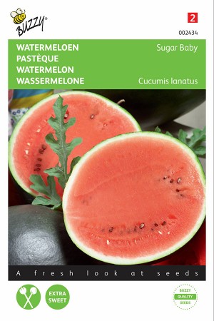 Suger Baby Watermelon seeds