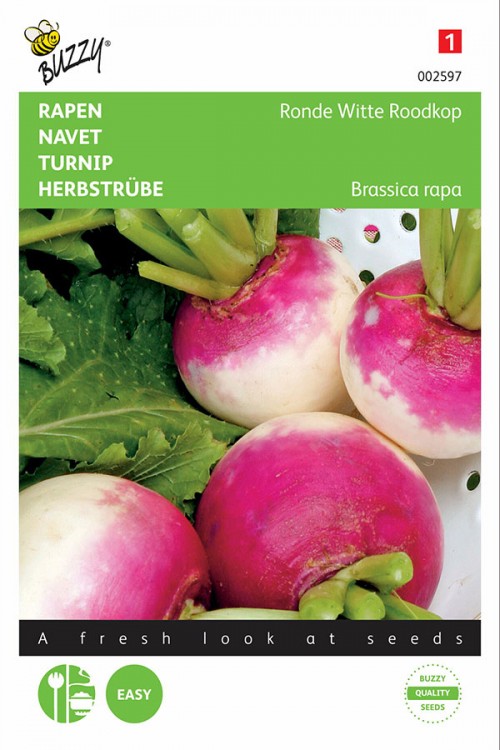 De Nancy Turnip seeds