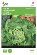 Summerdiamond Neckarreuzen Lettuce seeds